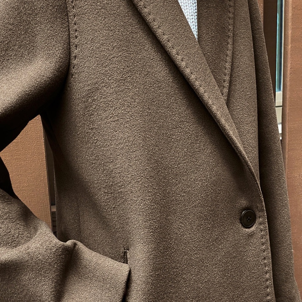 Aritzia Babaton stedman coat